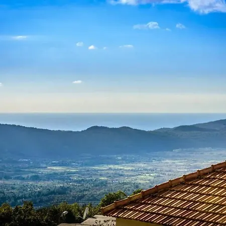 Elegant In With Private Pool