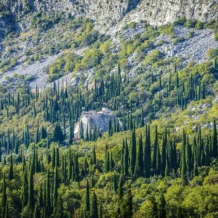 Elegant In With Private Pool *