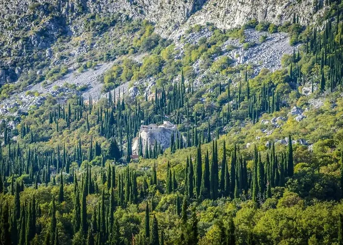 Elegant In With Private Pool *